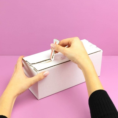 Versandkarton mit Aufrei&szlig;perforation