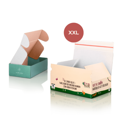 XXL Musterbox für Versandkartons