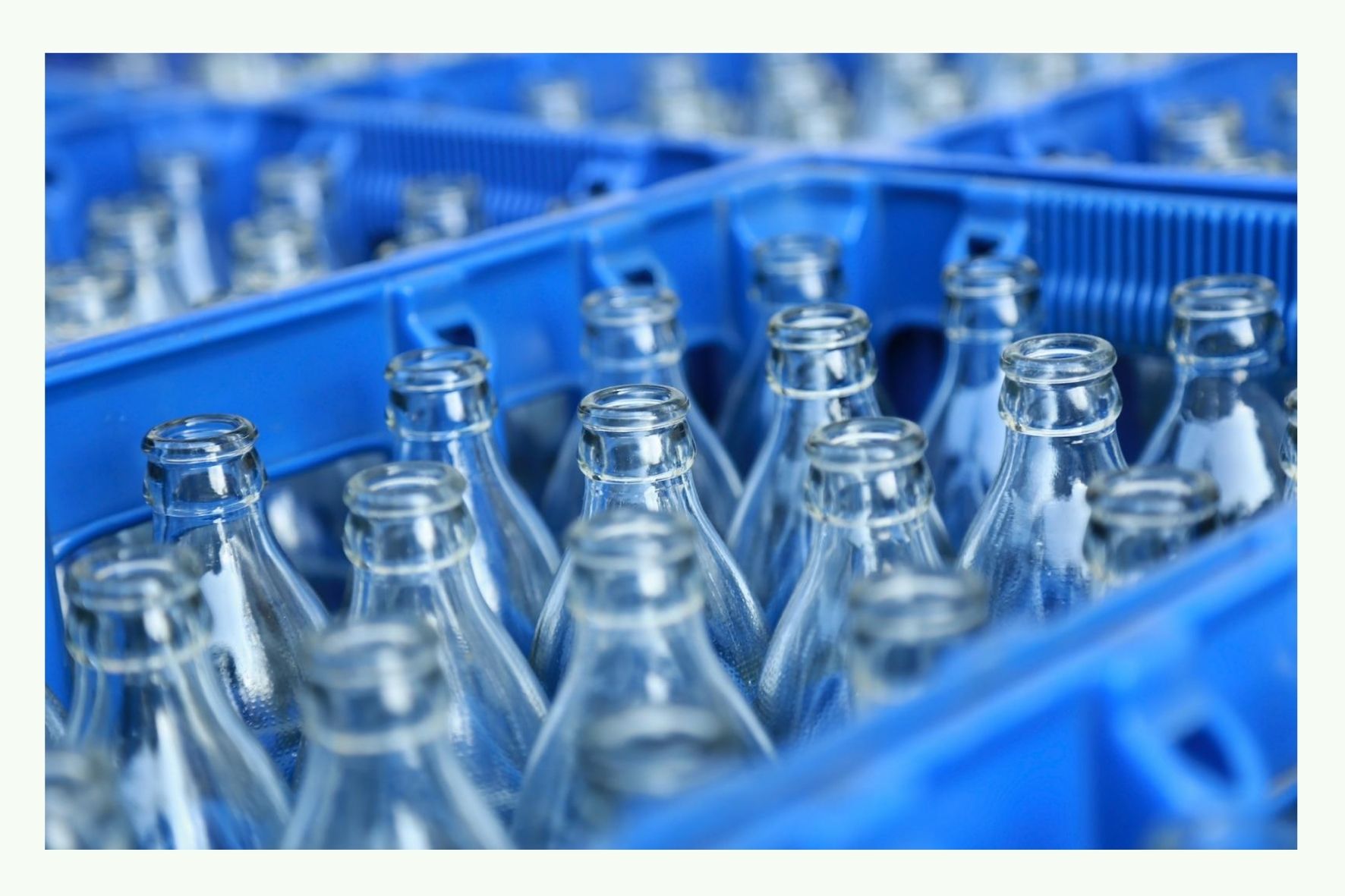 Empty glass bottles in a crate